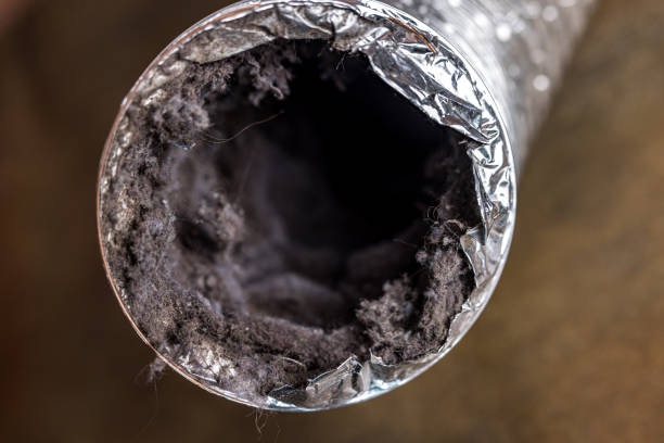 Best Emergency Air Duct Cleaning  in Gulfport, FL